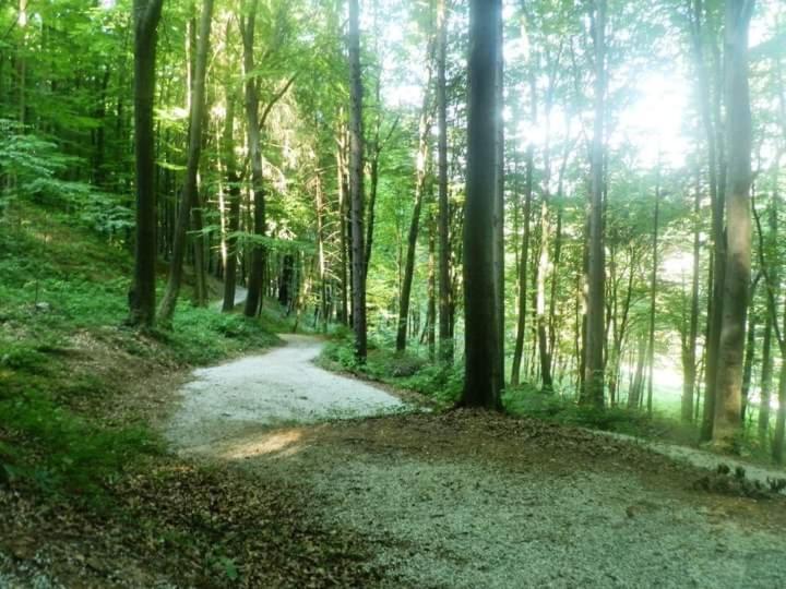 Apartmani Ramonda Teslić Esterno foto